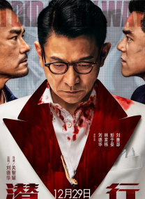 不卡的av